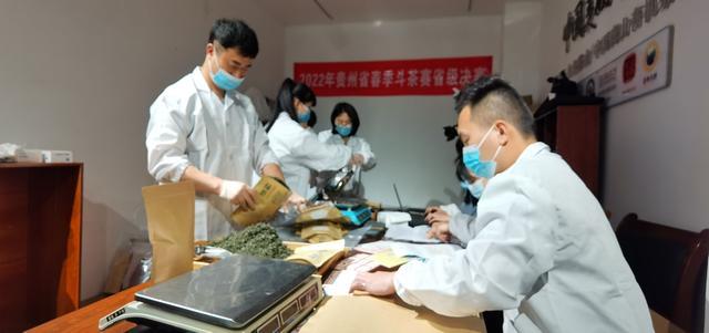 茶香贵州｜收样工作进行时，2022年贵州省春季斗茶赛进入省级决赛阶段