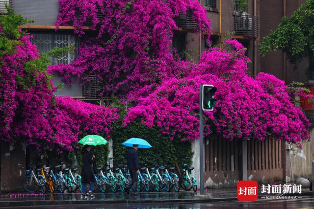 @成都人 下班路上你淋雨了吗？