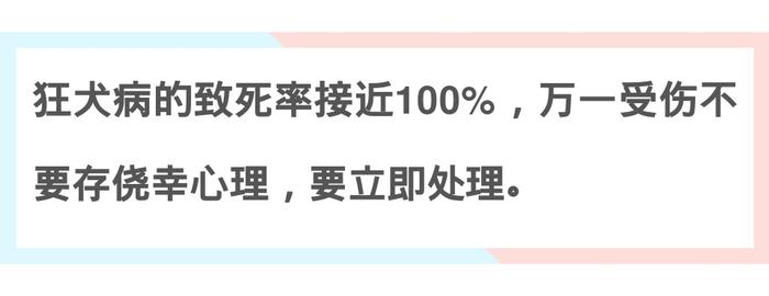 居家期间万一被狗狗弄伤能不能去医院？