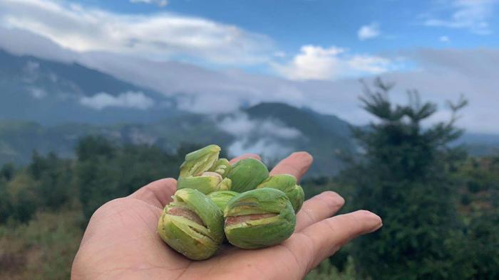 你知道什么是地理标志专用标志吗？丽水的地标产品还有...