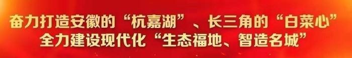 张岳峰在我市分会场参加全省高校党建及意识形态工作电视电话会议