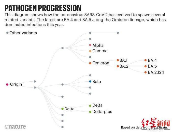感染性更强的奥密克戎新变异株首现中国，病毒变异速度加快了吗？