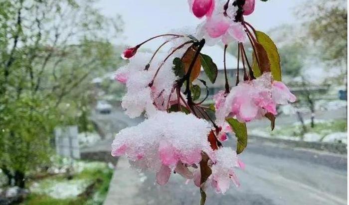 多地5月下雪，入夏失败，汤加火山该背锅吗？