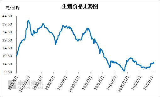 10家猪企一季度巨亏150亿，发生了什么？部分地区7成散户退出，双重疫情笼罩，拐点生变？