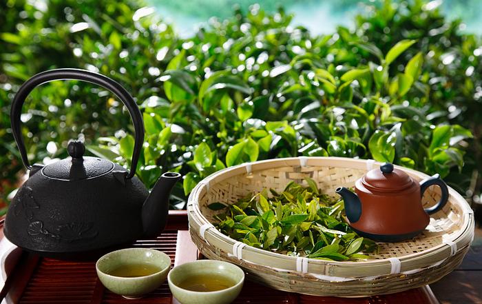 国际茶日丨您好，喝点什么，cha or tea？