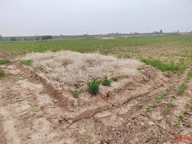 “土坑酸菜”11家企业复工：带检测报告复产，当地计划3年建30万立方标准腌制池