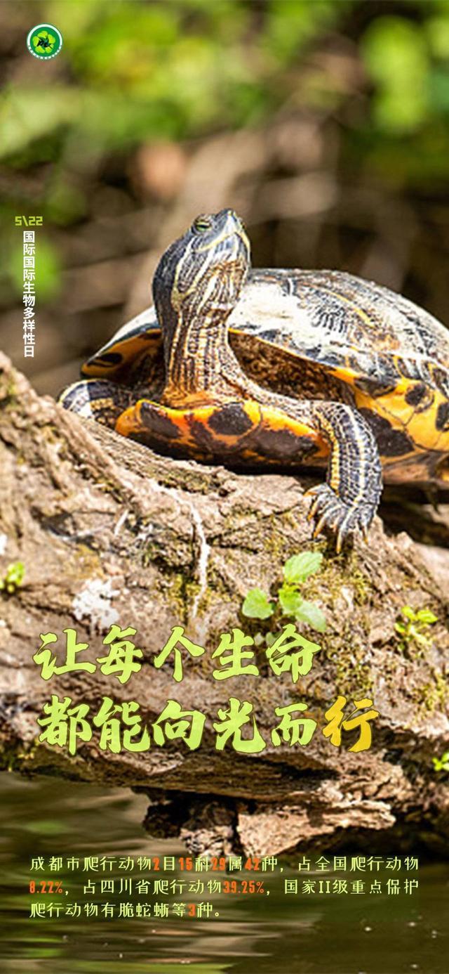 第29个国际生物多样性日 从一组图片看公园城市里的绿水青山