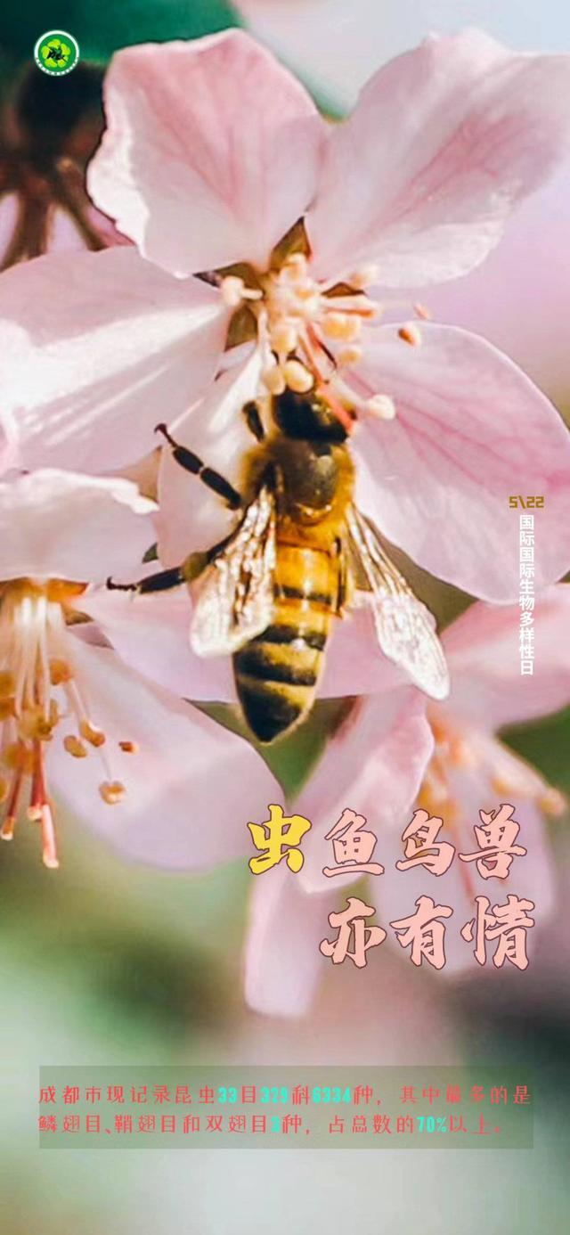 第29个国际生物多样性日 从一组图片看公园城市里的绿水青山