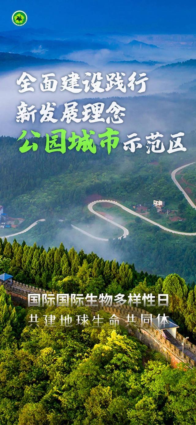 第29个国际生物多样性日 从一组图片看公园城市里的绿水青山