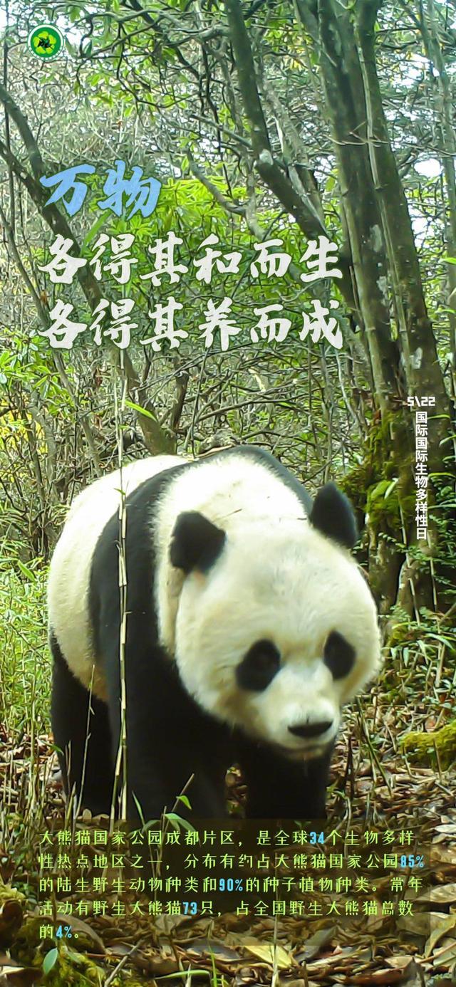 第29个国际生物多样性日 从一组图片看公园城市里的绿水青山