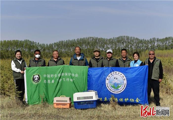 河北康保县遗鸥保护志愿服务队举行伤愈禽类放飞活动