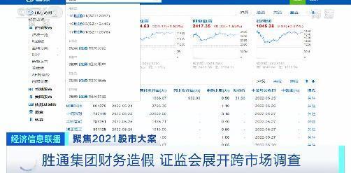 连续五年造假！虚增利润超百亿！这家企业的“天价收入”，竟是“无中生有”