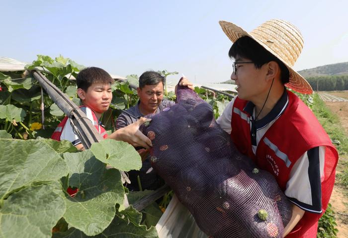 组图丨公益直播助农，临沂学生帮农民卖南瓜