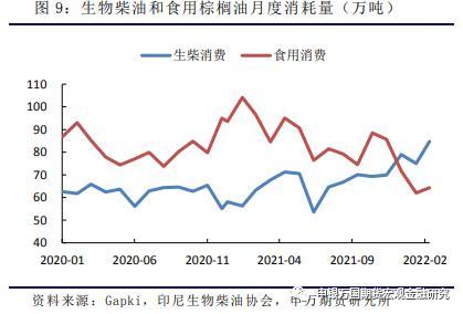 农产品：3月印尼产量亮眼，生物柴油支撑内需