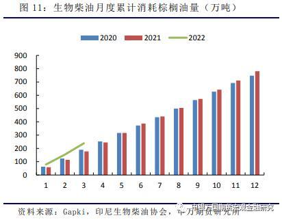 农产品：3月印尼产量亮眼，生物柴油支撑内需