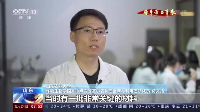 奋斗者 正青春丨20年攻克小麦“癌症” 这群青年用行动守护“中国粮”