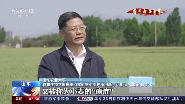 奋斗者 正青春丨20年攻克小麦“癌症” 这群青年用行动守护“中国粮”