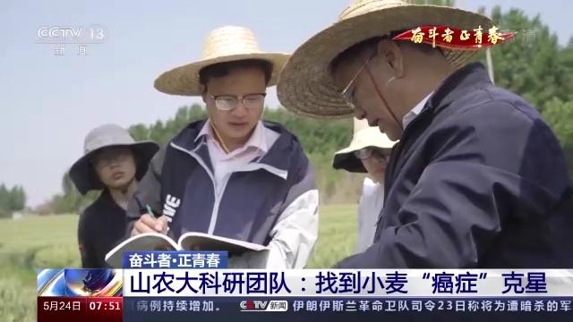 奋斗者 正青春丨20年攻克小麦“癌症” 这群青年用行动守护“中国粮”