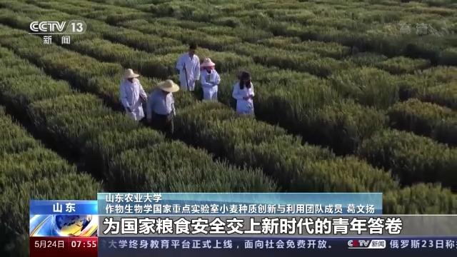 奋斗者 正青春丨20年攻克小麦“癌症” 这群青年用行动守护“中国粮”