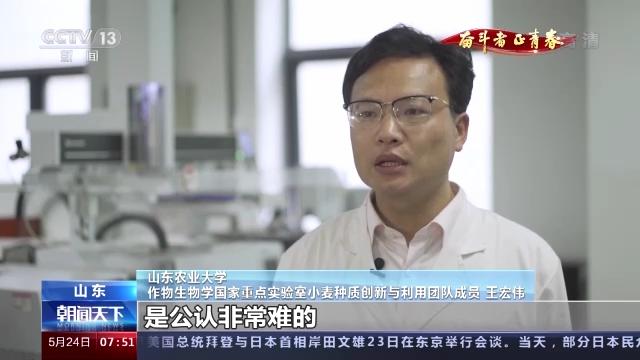 奋斗者 正青春丨20年攻克小麦“癌症” 这群青年用行动守护“中国粮”