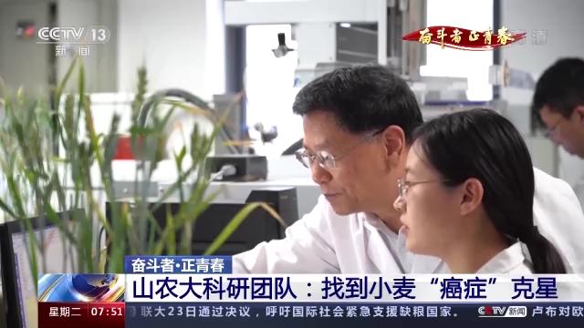 奋斗者 正青春丨20年攻克小麦“癌症” 这群青年用行动守护“中国粮”