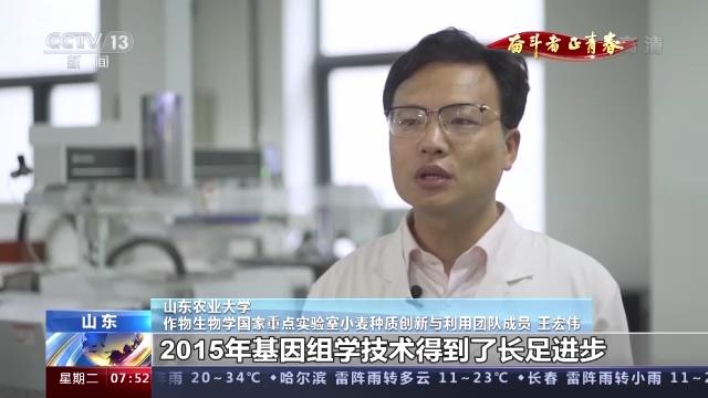 奋斗者 正青春丨20年攻克小麦“癌症” 这群青年用行动守护“中国粮”