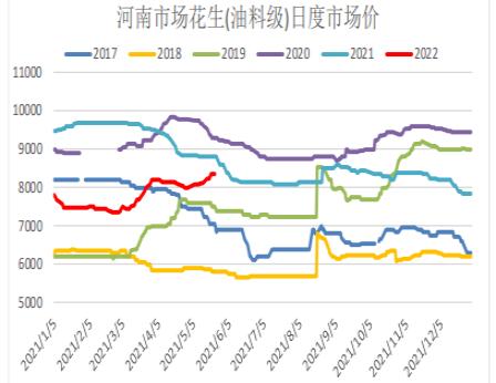 花生价格偏强运行 关注种植面积减幅情况