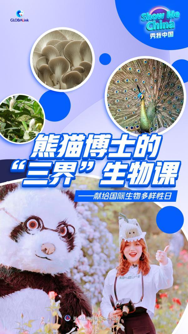 秀我中国｜熊猫博士的“三界”生物课