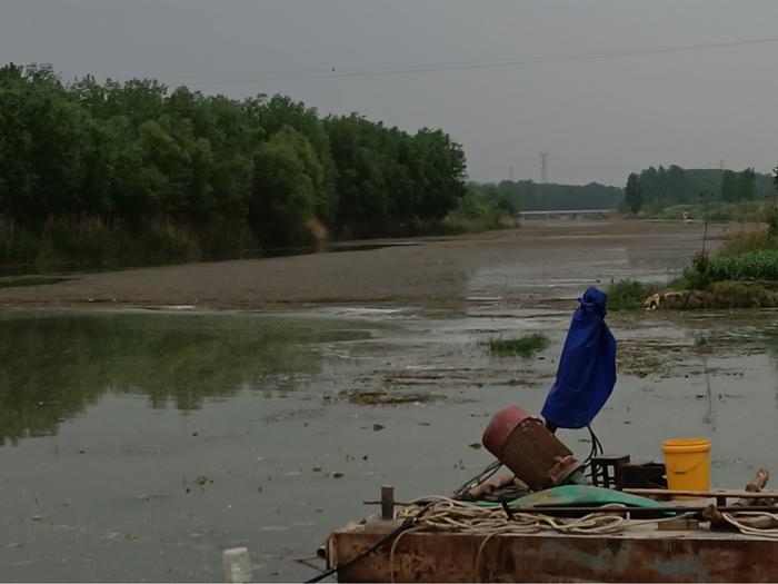 污水直排致黑臭，水藻肆虐如绿毯！黄河一级支流金堤河、天然文岩渠水生态环境问题突出