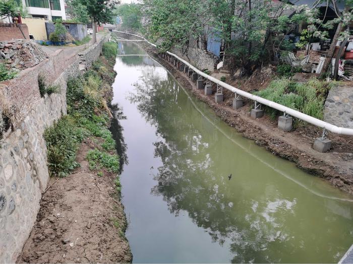 污水直排致黑臭，水藻肆虐如绿毯！黄河一级支流金堤河、天然文岩渠水生态环境问题突出