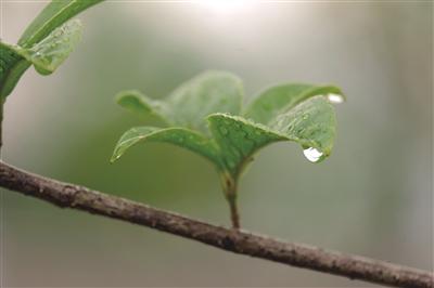 ​这到底是回南天 还是梅雨季节