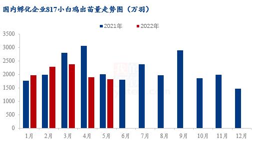 Mysteel解读：817小白鸡价格持续上涨，几家欢喜几家愁