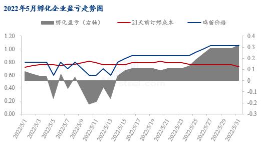 Mysteel解读：817小白鸡价格持续上涨，几家欢喜几家愁