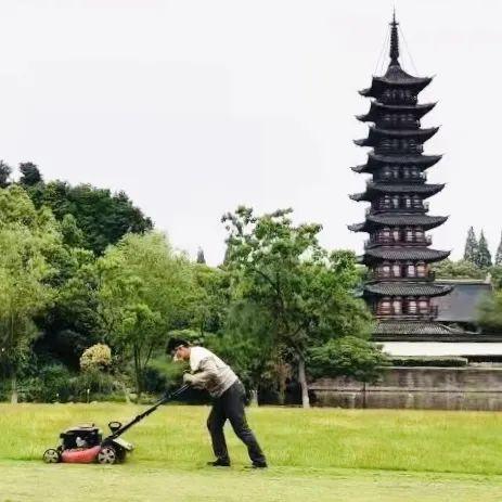 上海旅游搜索热度上涨500%！逾40家景区重开，迪士尼员工陆续返岗，有景点将免费8天→