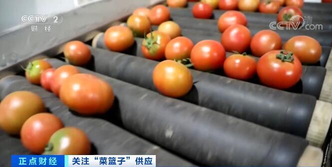全国蔬菜种植面积产量双增长 “菜篮子”供应有保障