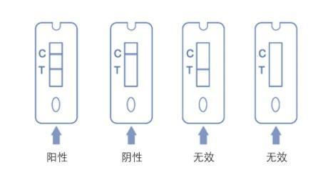 核酸检测为何会有“假阳”“假阴”？专家解答！上海已加大力度对检测实验室进行严格管理和督查→