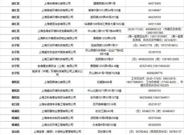 市疾控中心提醒：千万别用杀虫剂对付已经筑巢的白蚁