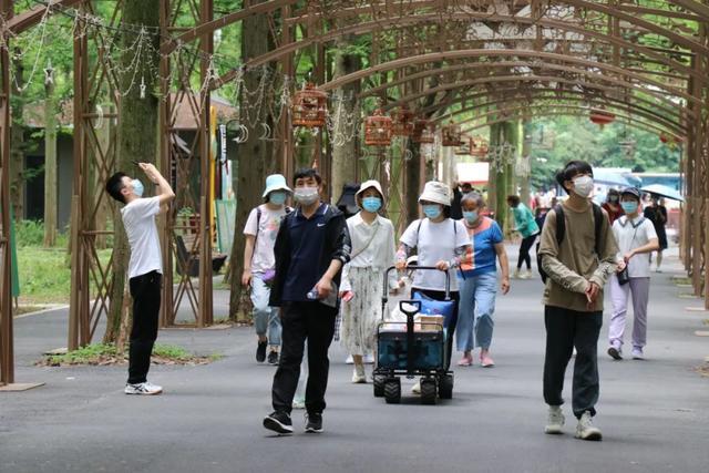 端午假期旅游升温！崇明文旅市场有序“复苏”