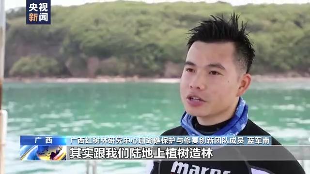 世界海洋日丨关注珊瑚礁生态系统 海底“植树造林”正在进行