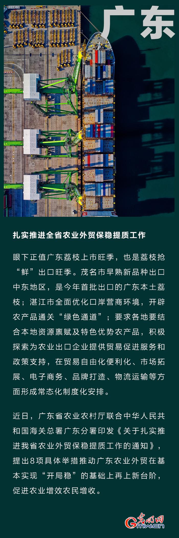 图解丨我国前5个月进出口总值同比增长8.3% 一揽子稳外贸政策见成效