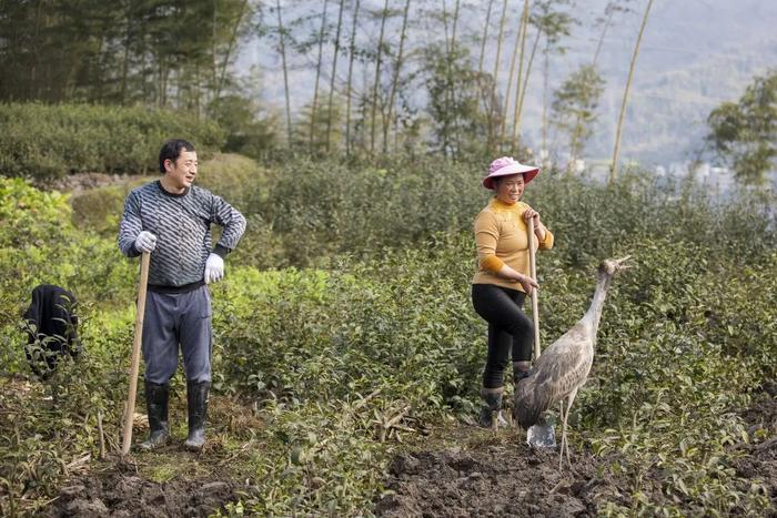 2022六五环境日丨生态环境保护主题摄影作品征集活动获奖作品展播之“生态文明建设行动”类