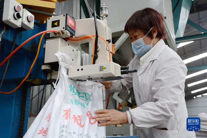 青海省海西州：羊粪变“宝”引领村集体产业新方向