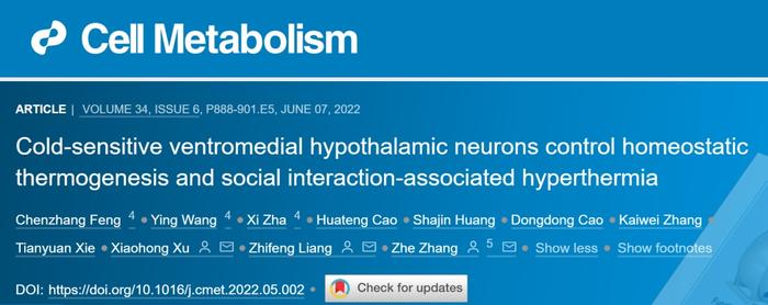 脑智卓越中心揭示下丘脑冷感受神经元调控体温稳态的环路机制