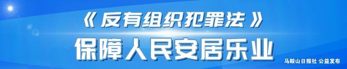 省委常委、政法委书记张韵声来马开展“优环境、稳经济”活动现场办公