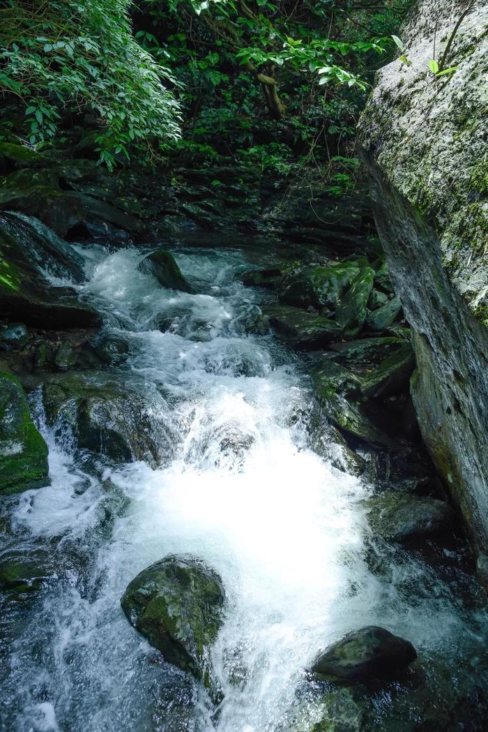 【在长沙过周末】漂流、溯溪、瀑布、一站式游玩，又是一个宝藏夏日避暑地！