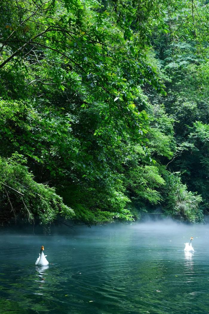 【在长沙过周末】漂流、溯溪、瀑布、一站式游玩，又是一个宝藏夏日避暑地！