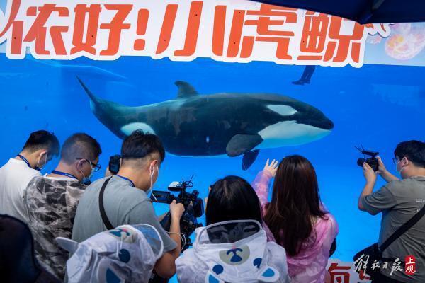 上海海昌海洋公园恢复运营，对全国医护工作者免费开放