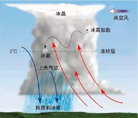 冰雹突袭北京，农友损失惨重