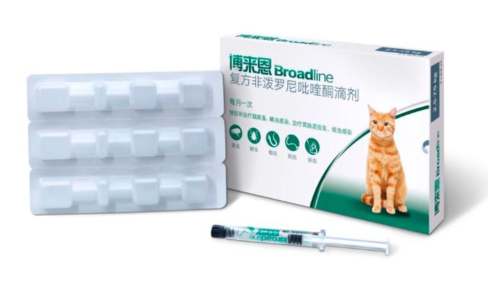 猫吐食物是什么原因？常见原因及应对方法