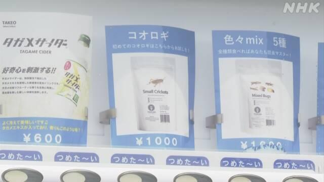 日本推出昆虫零食贩卖机：提供蟋蟀等18种炸虫子，还有巧克力味